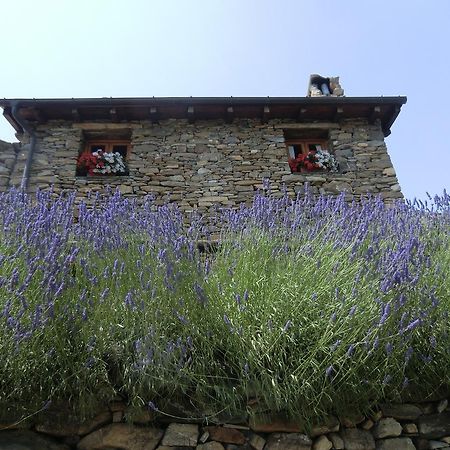Molini di Triora Agriturismo La Fontana Dell'Olmo酒店 外观 照片