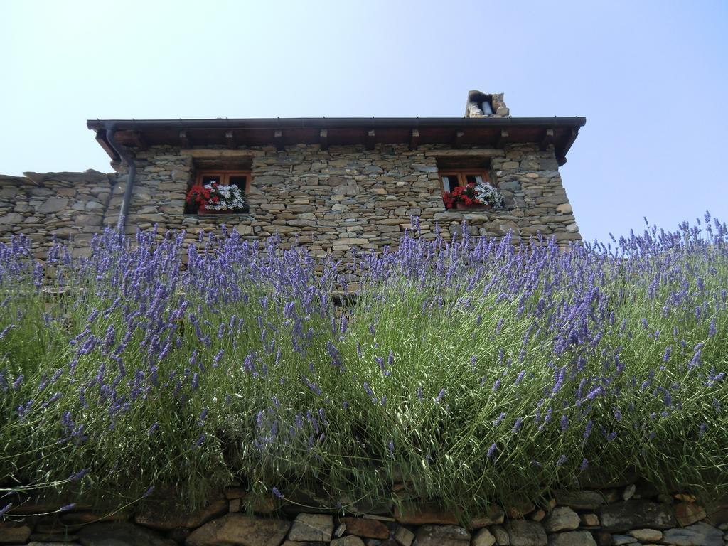 Molini di Triora Agriturismo La Fontana Dell'Olmo酒店 外观 照片