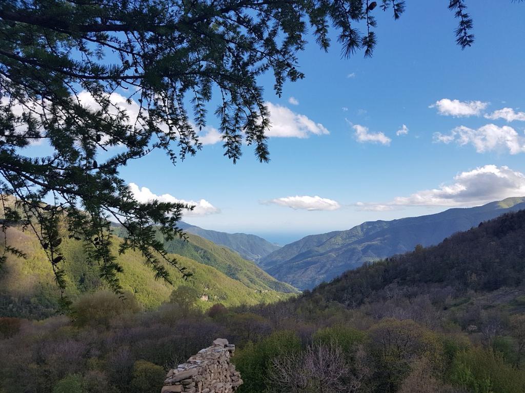 Molini di Triora Agriturismo La Fontana Dell'Olmo酒店 外观 照片